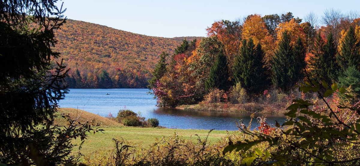 Critter Control in Lancaster County